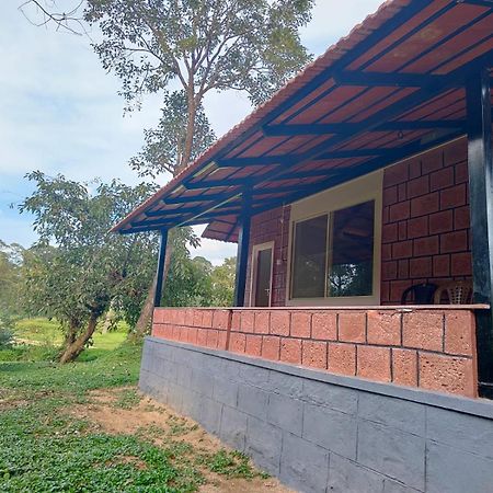 Nature Spot Cottages Coorg Kurchi Εξωτερικό φωτογραφία