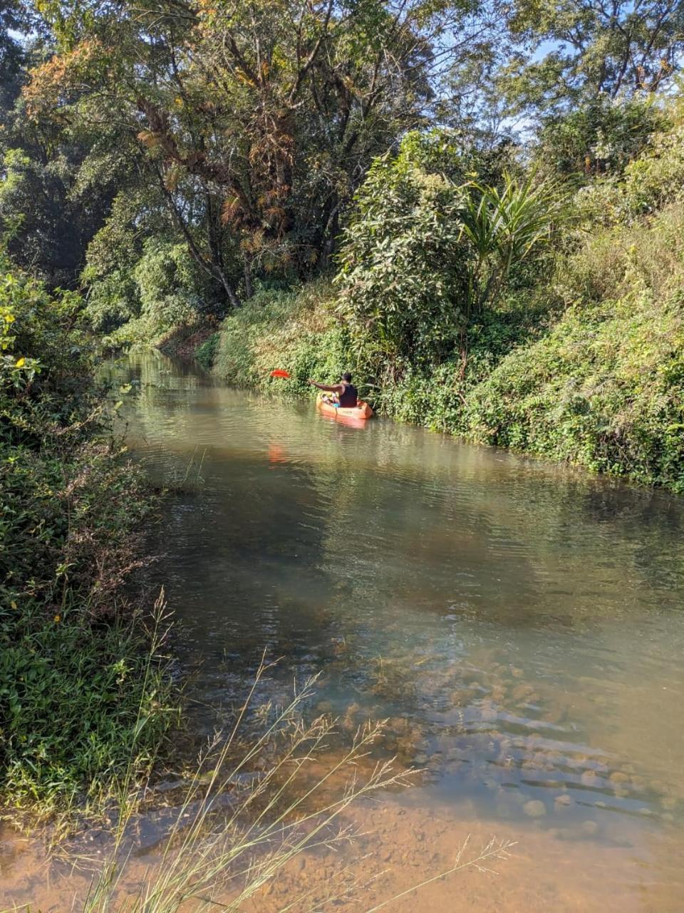 Nature Spot Cottages Coorg Kurchi Εξωτερικό φωτογραφία
